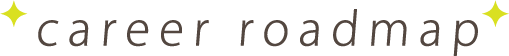 career loadmap