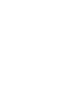 4年目